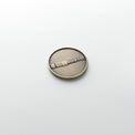Saber Coin